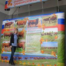 Выставочный стенд Мясное скотоводство - реализация